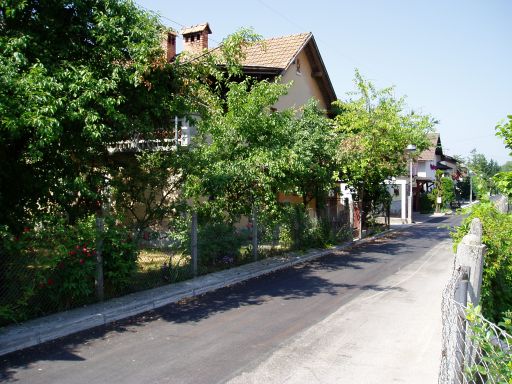 Jugovzhodni del hiše s cvetličnim vrtom in teraso