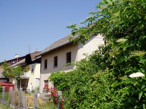 Zahodna stran hiše z zelenjavnim vrtom